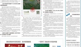 新华社新闻爆料电话,揭秘新闻爆料电话背后的真相